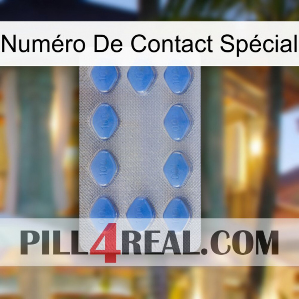 Numéro De Contact Spécial 21.jpg